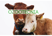 OZOOTECNIA OZOOTECNIA